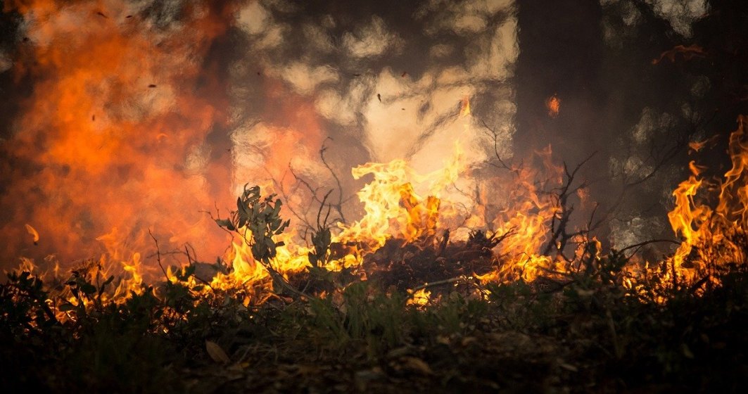 Focare și incendii de vegetație în Grecia