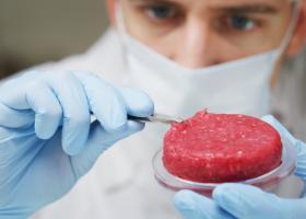 Rabinul-şef al Israelului permite consumul de carne „cultivată” din celule de...