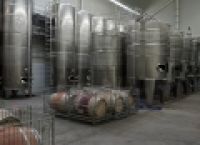 Poza 1 pentru galeria foto Vizita in crama Liliac din Transilvania: cum va fi vinul din 2014, un an cu multa ploaie