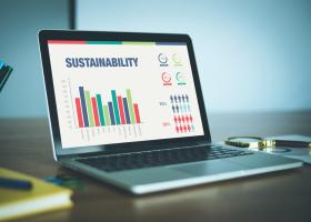 Imagine: Constantin Damov, GreenGroup: Raportarea în materie de sustenabilitate a...