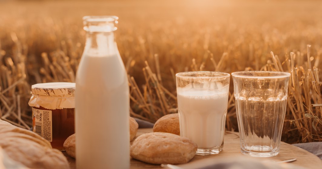 Veniturile sectorului de fabricare a produselor lactate si a branzeturilor au scazut cu 18% in 2018, fata de anul precedent