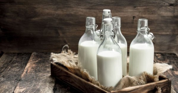 Un producător de lactate și brânzeturi din România își suspendă activitatea