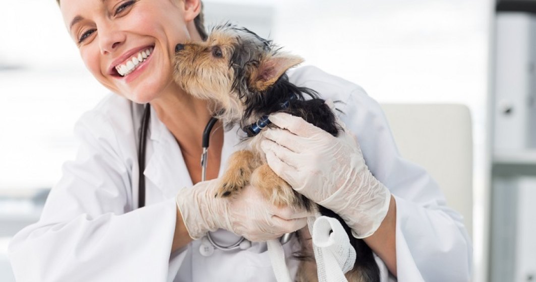 Un medic veterinar investeste 700.000 de euro intr-un spital veterinar de endoscopie si chirurgie minim invaziva