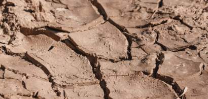 Semnal de alarma pentru agricultura: desertificarea ar putea sterge circa 7...
