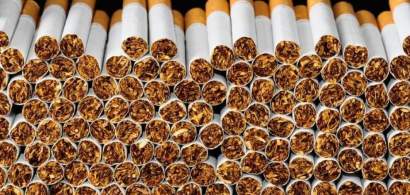 Industria tutunului atrage atentia ca noul proiect anti-tutun loveste un...