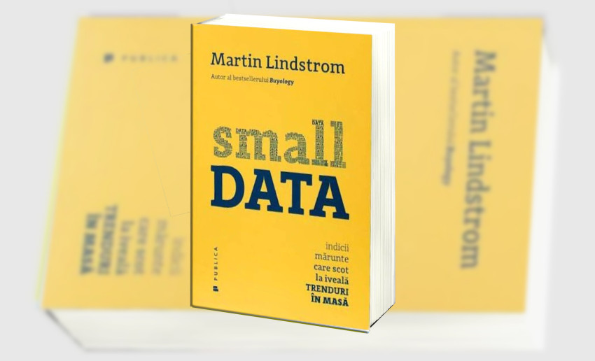 Small DATA – Martin Lindsdrom