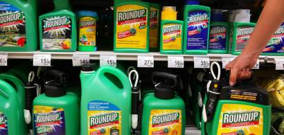 Monsanto, parte a grupului Bayer, se confrunta cu 8.000 de procese impotriva...
