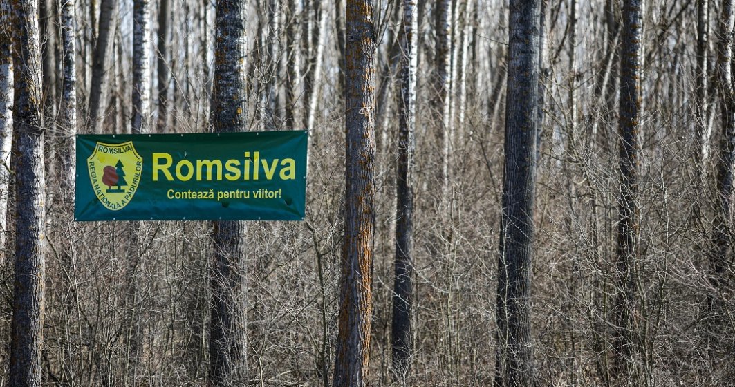 Mită de aproape 1 milion de euro la Romsilva: detaliile oferite de DNA