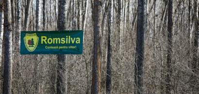 Mită de aproape 1 milion de euro la Romsilva: detaliile oferite de DNA