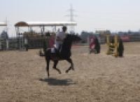 Poza 3 pentru galeria foto Primul Salon dedicat echitatiei: pasiunea pentru cai este in crestere intr-o tara cu herghelii in cadere libera