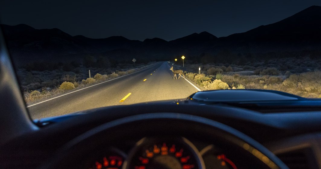 Majoritatea șoferilor români întâmpină dificultăți în privința vizibilității noaptea