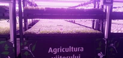 Kaufland și producătorul de microplante Ultragreens au inaugurat prima seră...