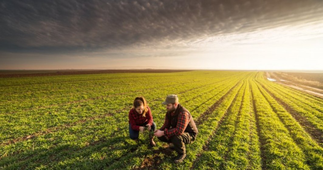 Carrefour lanseaza un program pentru fermierii romani care vor sa treaca la agricultura BIO