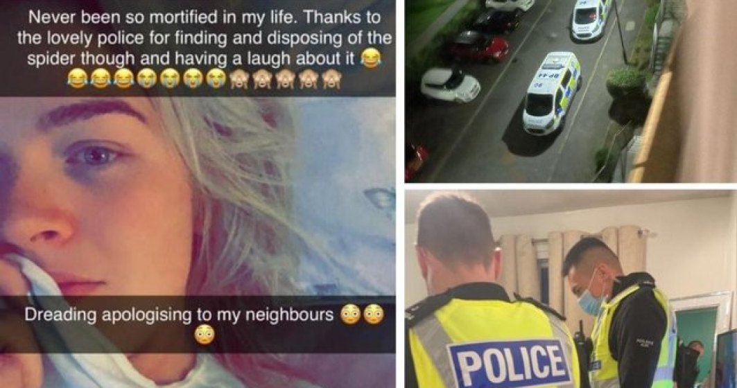 Noi atribuții ale poliției: o femeie a țipat atât de tare din cauza unui păianjen încât a alertat polițiștii de pe stradă