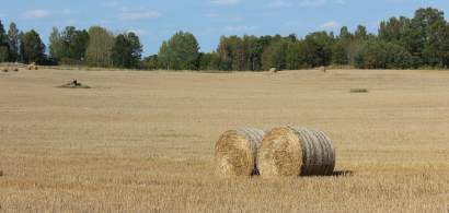 Agricultorii romani vor putea primi noi despagubiri de la UE pentru...