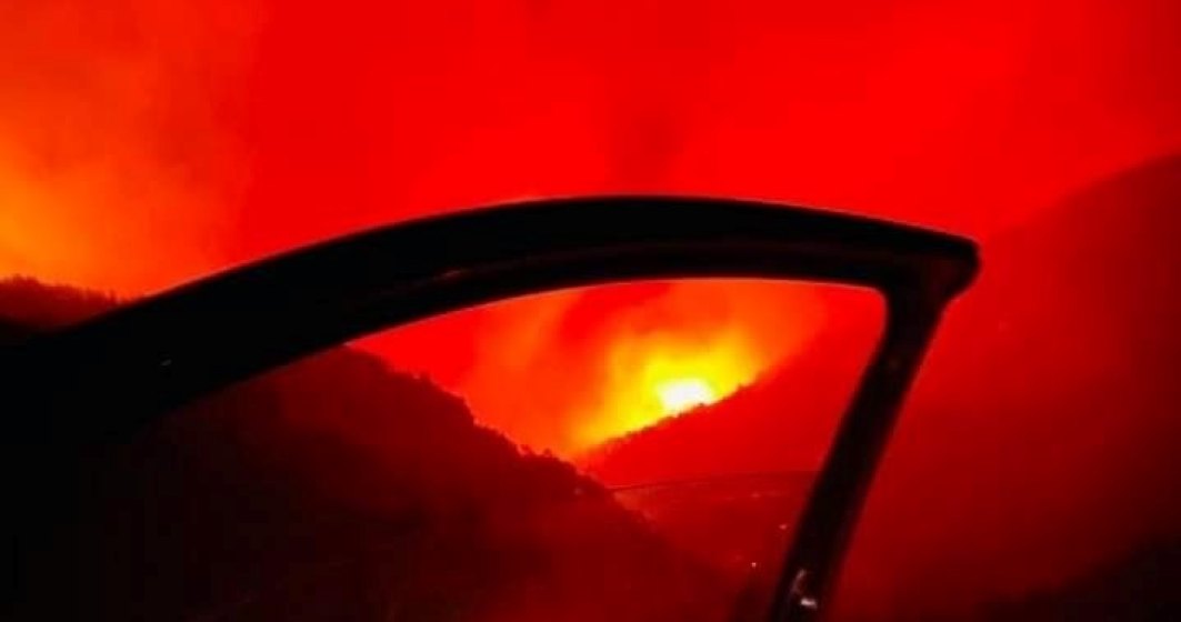 Nu numai Grecia suferă: incendiile necontrolate fac ravagii în Turcia