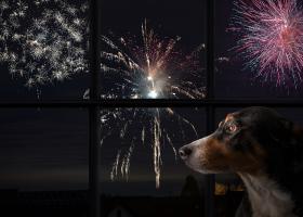 Avertismentul specialiștilor: Artificiile de Anul Nou poluează masiv și...
