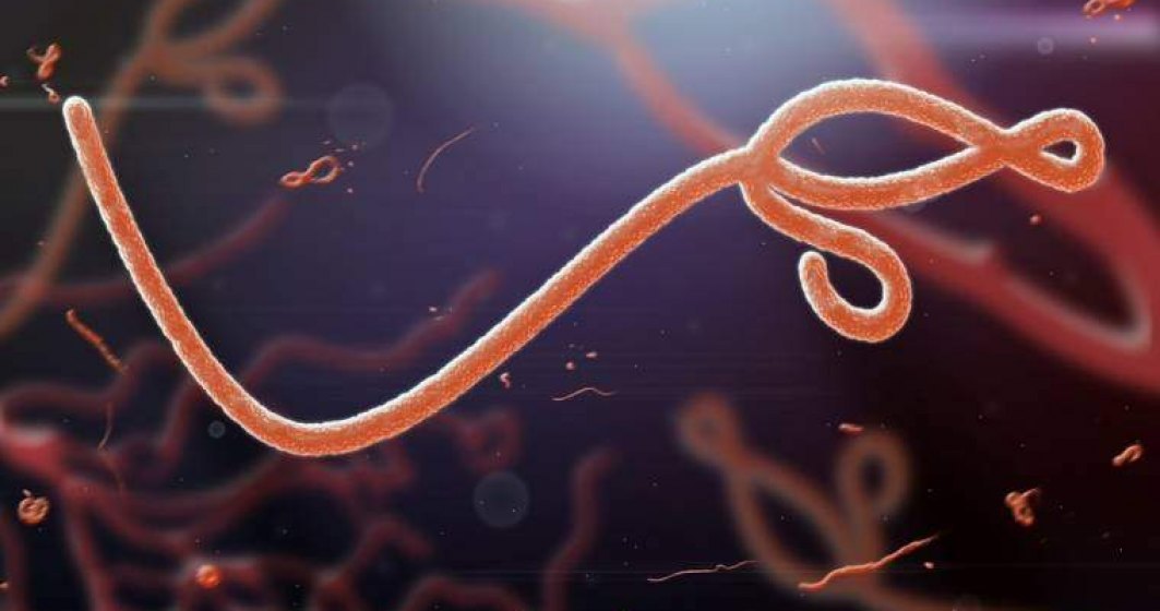 Ebola a început să reapară într-o țară din Africa