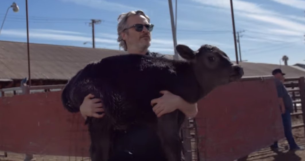 Joaquin Phoenix a salvat o vacă şi un viţel de la abator
