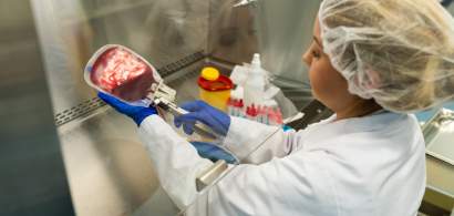 Utilizarea celulelor stem se extinde în tot mai multe domenii ale medicinei