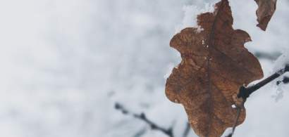 ANM AVERTIZEAZA: Cod galben de vant si ninsori in 26 de judete