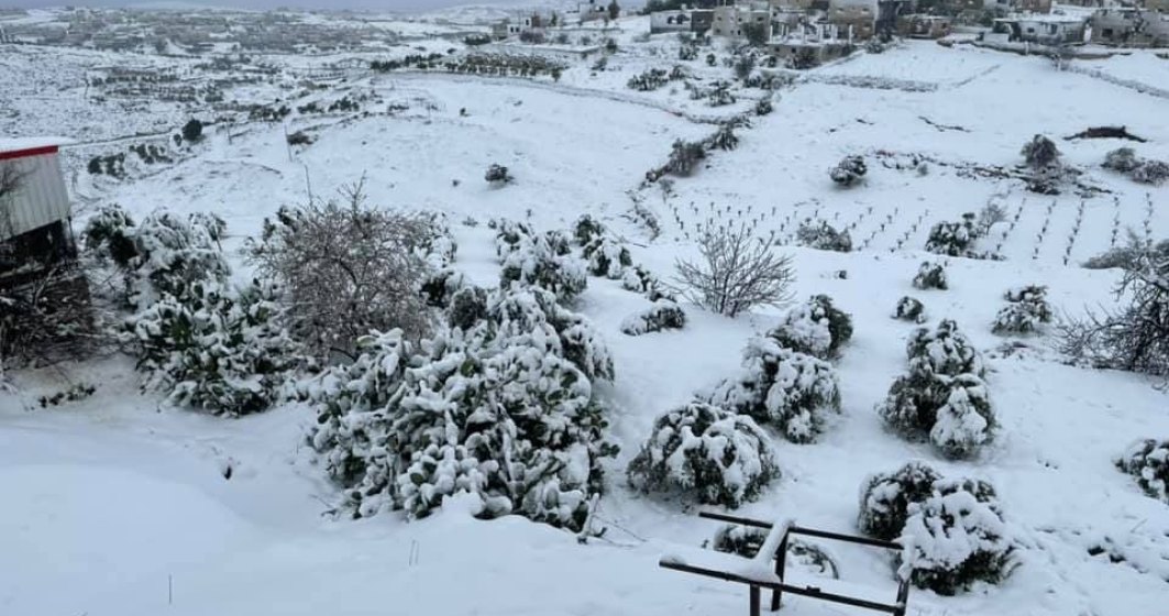 Iarna a mers și în ”locurile sfinte”: zăpadă la Ierusalim după 7 ani