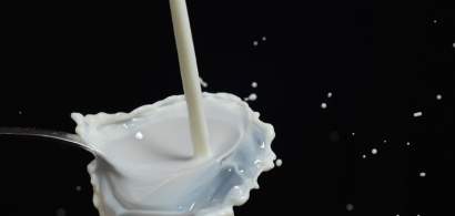 Productia interna de lapte a crescut cu 2,7% in luna mai, avansul...