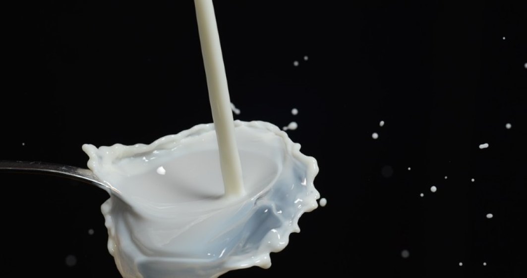 Productia interna de lapte a crescut cu 2,7% in luna mai, avansul importurilor s-a temperat la 20%