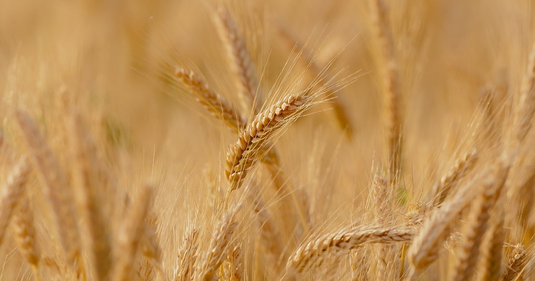 Ucraina a exportat peste un milion de tone de cereale, în aprilie