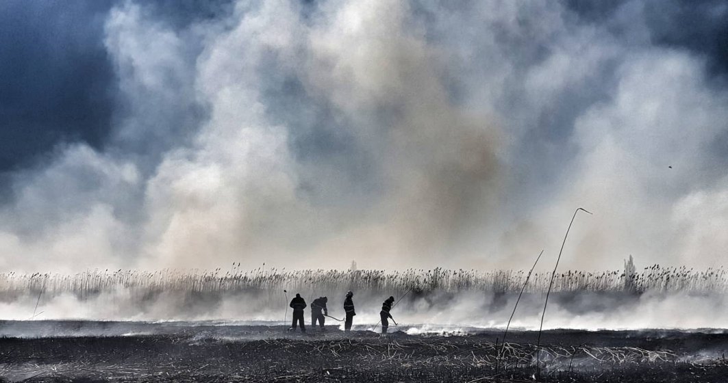 Incendiul de vegetație din zona Periş a fost stins