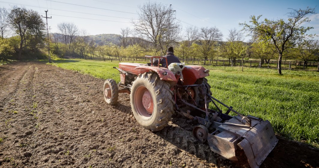 Valoarea producției agricole a României a scăzut masiv în 2022. Cel mai mare declin, la pepeni și porci