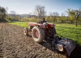 Valoarea producției agricole a României a scăzut cu aproape 16% în 2022. Cel...
