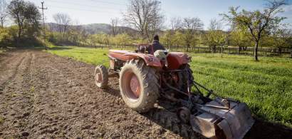 Valoarea producției agricole a României a scăzut cu aproape 16% în 2022. Cel...