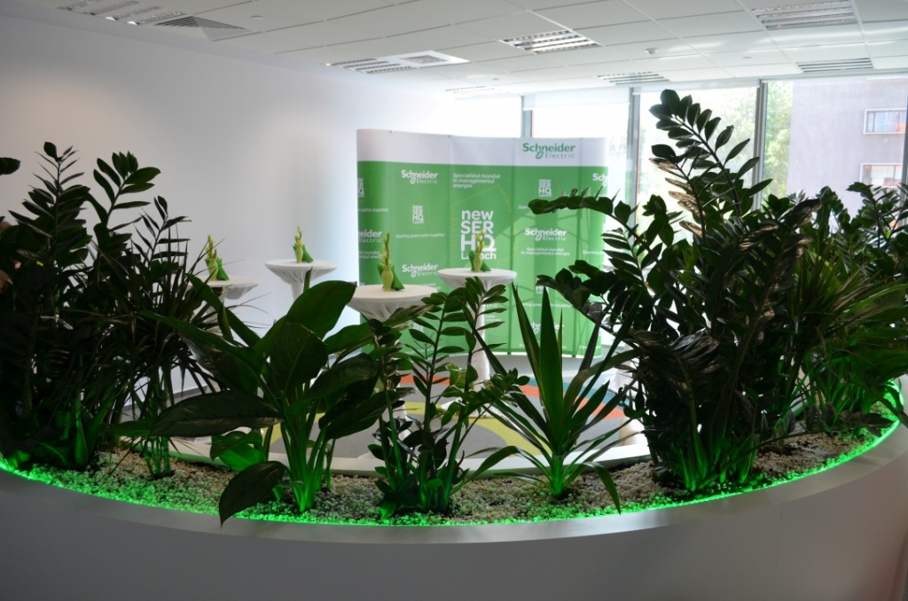 Tehnologia din spatele unui birou verde: In vizita la Schneider Electric