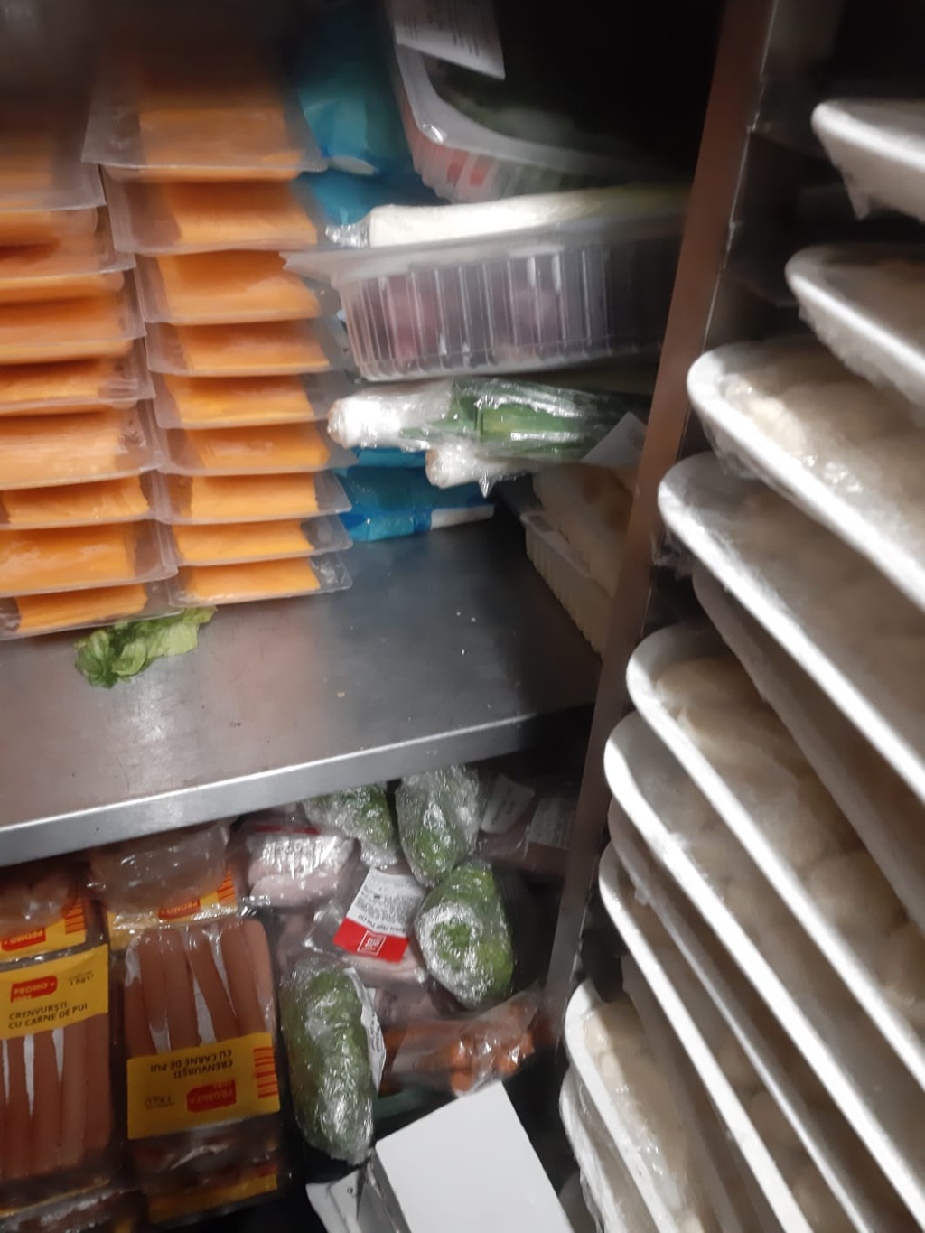 [GALERIE FOTO] Mizerie și mâncare stricată în zeci de restaurante de pe Litoral. Trei dintre acestea au fost închise