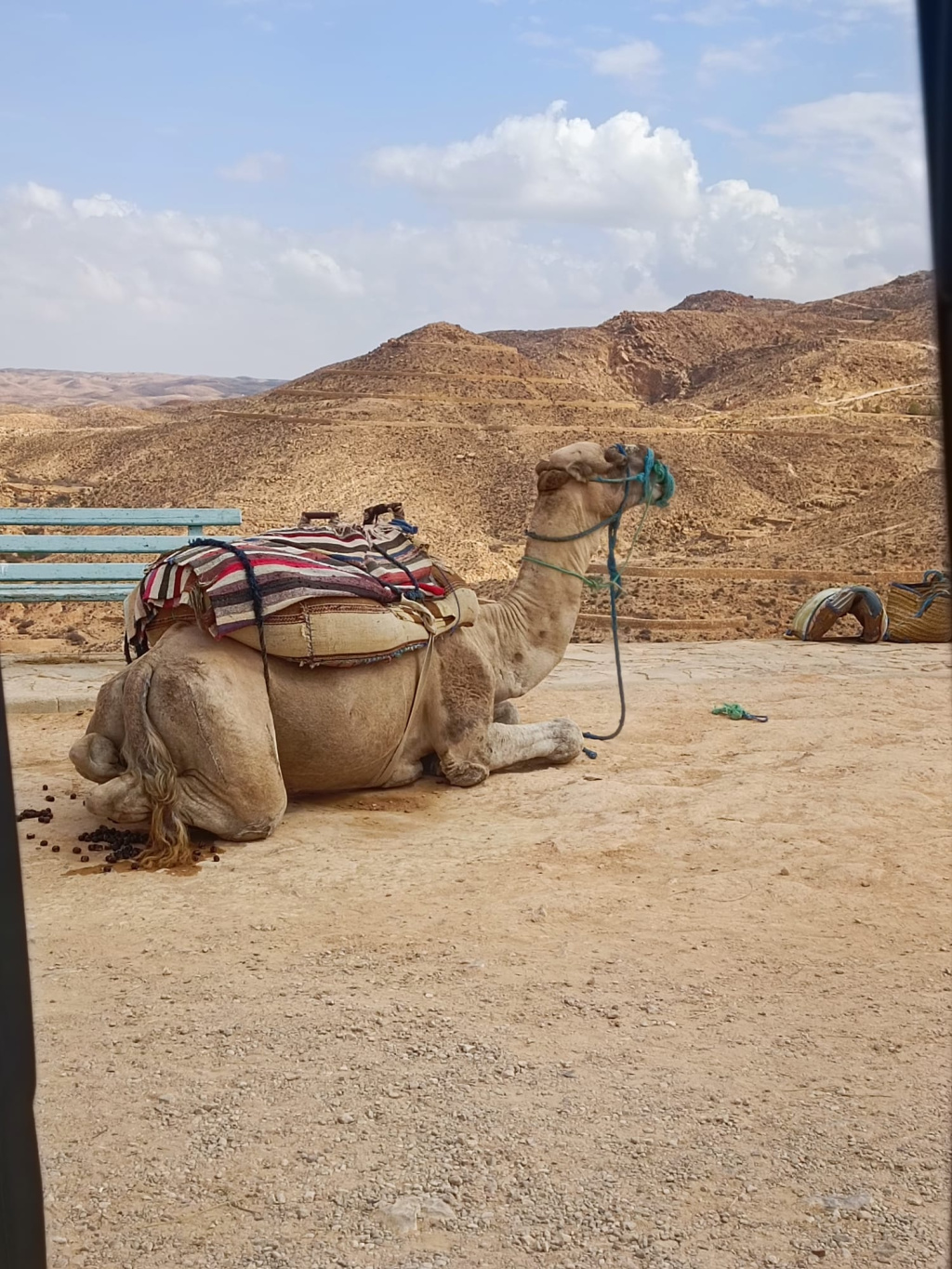 GALERIE FOTO: Vacanță în Tunisia, cu aventuri în deșert și oaze naturale, dar și cu stațiuni cu mâncare nord-africană pentru toate gusturile