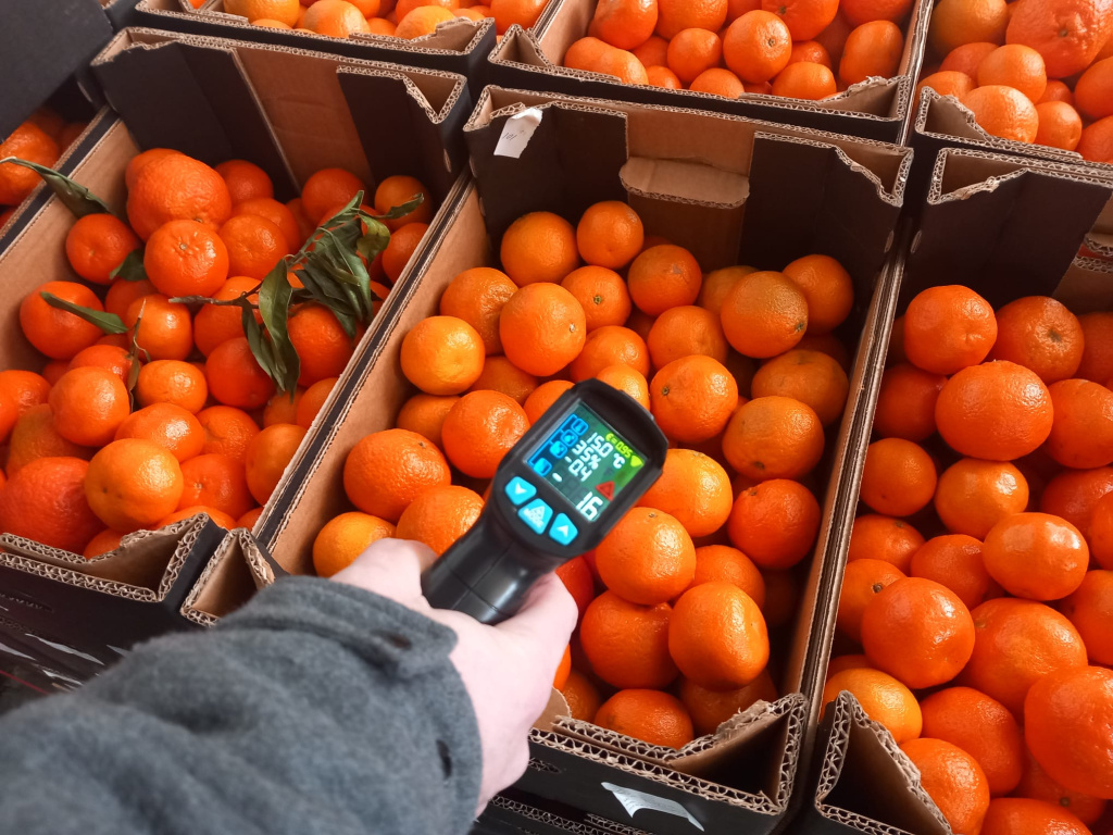FOTO | ANPC controlează depozitele de fructe și legume: au fost oprite din comercializare 200 de tone