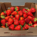 Legume și fructe bio, comandate online: Froopt.ro pregătește abonamente și crește pe zona comen - Foto 7 din 25