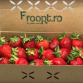 Legume și fructe bio, comandate online: Froopt.ro pregătește abonamente și crește pe zona comen - Foto 9 din 25