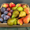Legume și fructe bio, comandate online: Froopt.ro pregătește abonamente și crește pe zona comen - Foto 16 din 25
