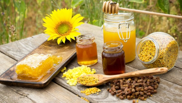 Afacere cu produse apicole: cum sa iti lansezi un business profitabil in aceasta industrie