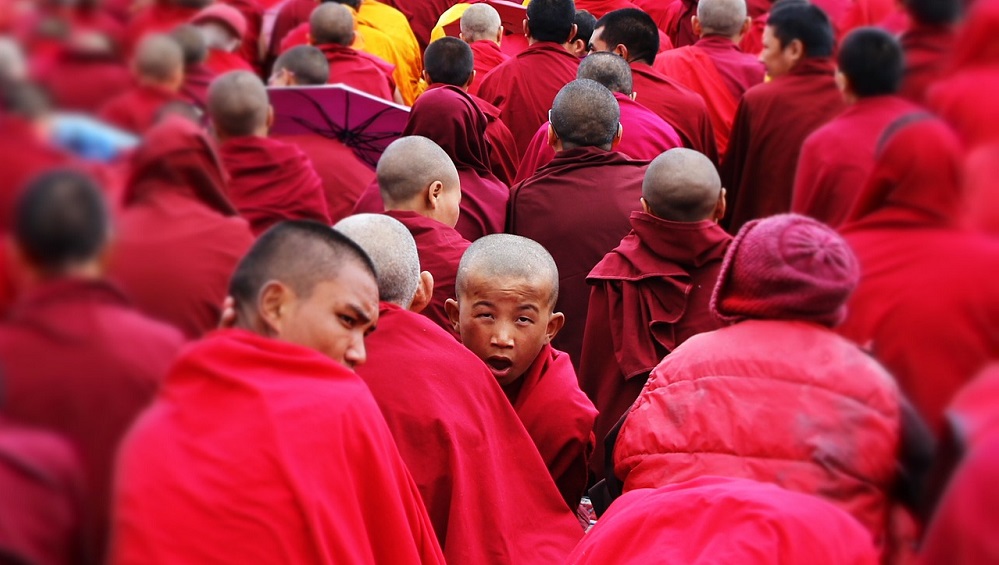 #9 “Cartea înțelepciunii“ de Dalai Lama