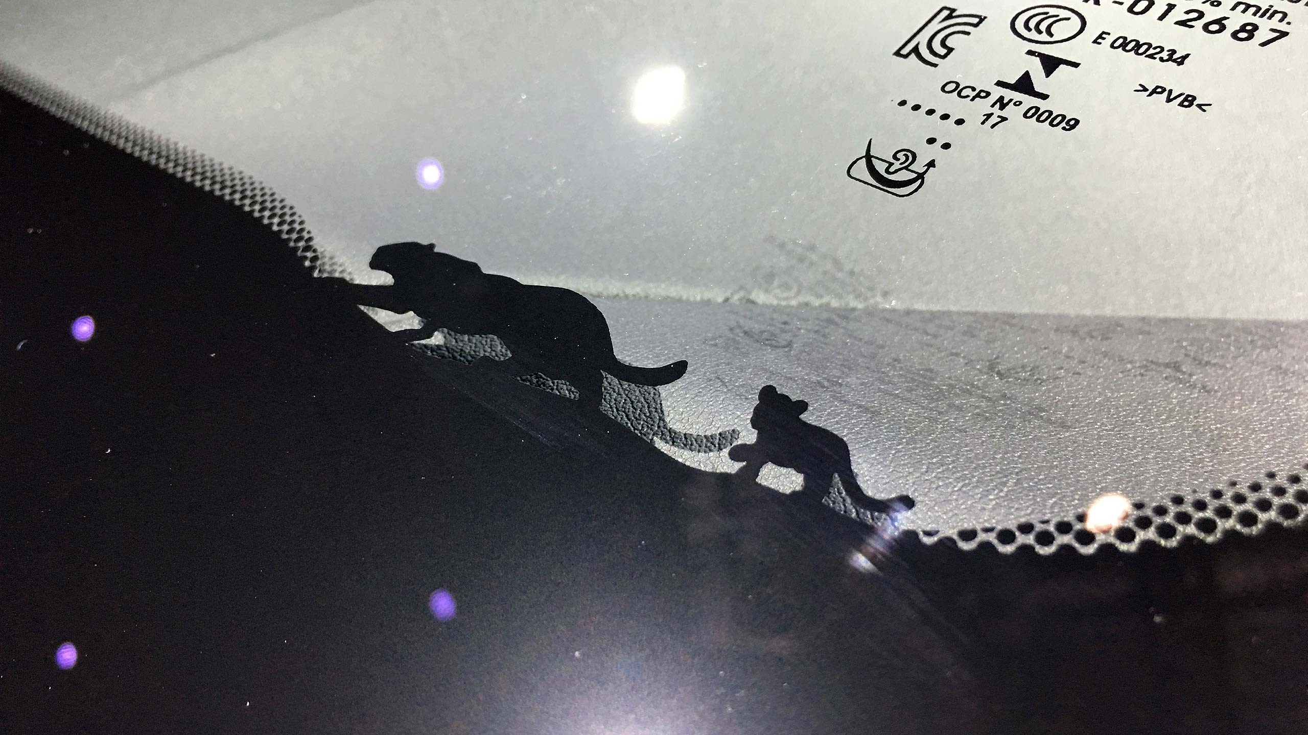 „Jaguar and cub” - un detaliu pe parbrizul fiecărui Jaguar E-Pace