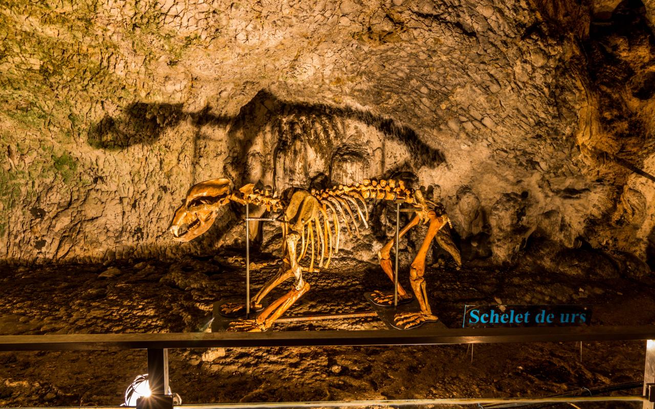 Peștera Muierii – Județul Gorj