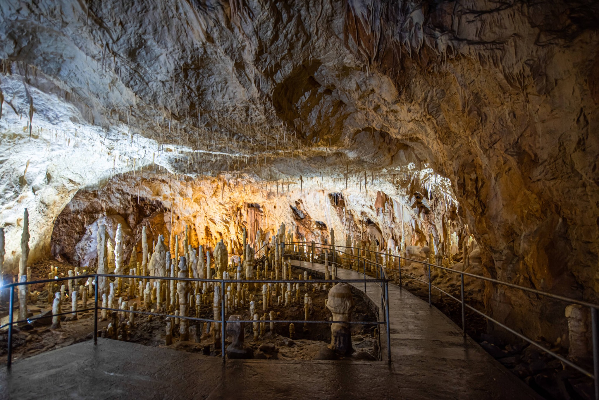 Peștera Urșilor - Județul Bihor