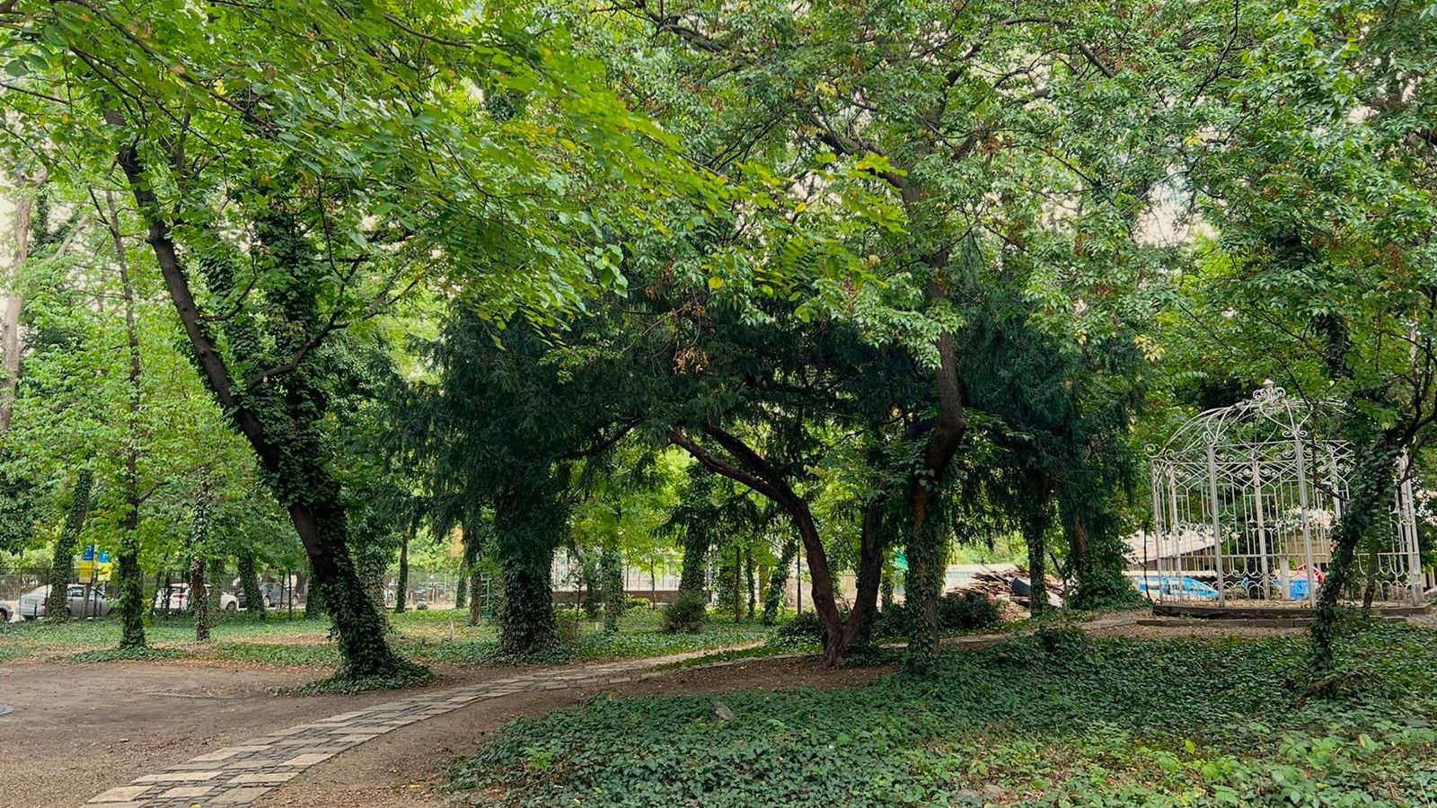 Se redeschide una dintre cele mai vechi sere din București