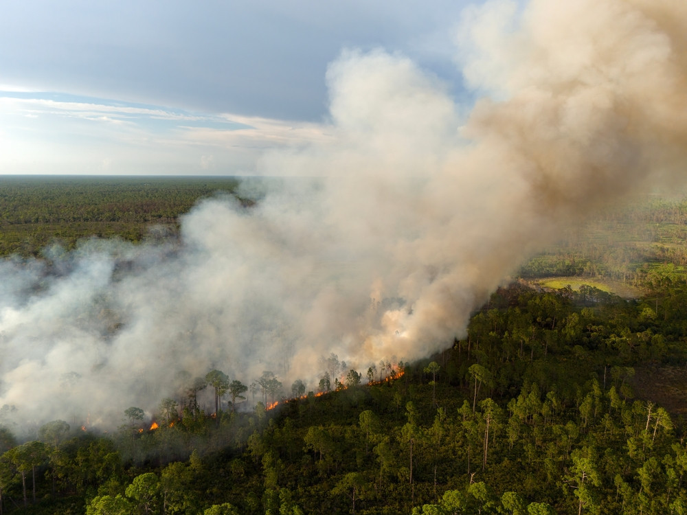 Alertă în mai multe zone din România din cauza incendiilor de vegetație. Intervenții cu elicoptere
