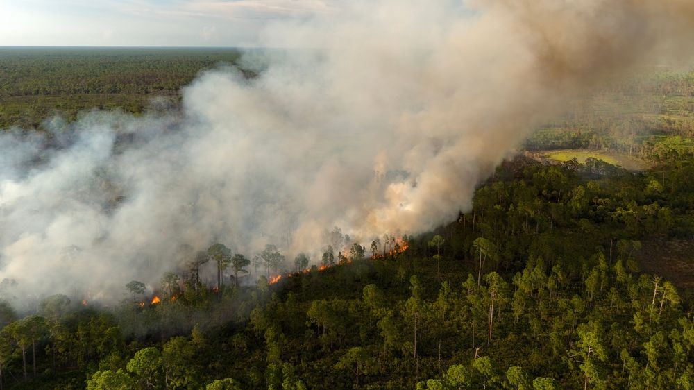 Alertă în mai multe zone din România din cauza incendiilor de vegetație. Intervenții cu elicoptere