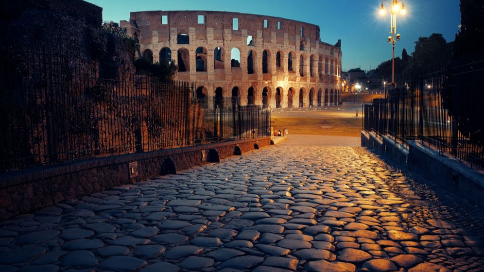 Mii de păsări au murit sau nu au mai putut zbura din cauza artificiilor din Roma