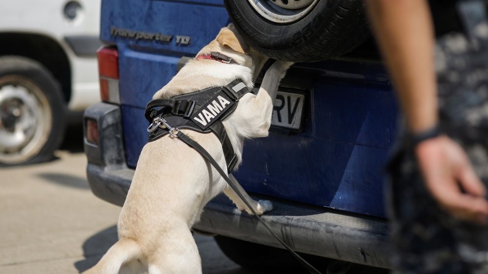 Se schimbă conducerea Vămii. Noul șef vine de la Bistrița și a trecut prin conducerea ANAF